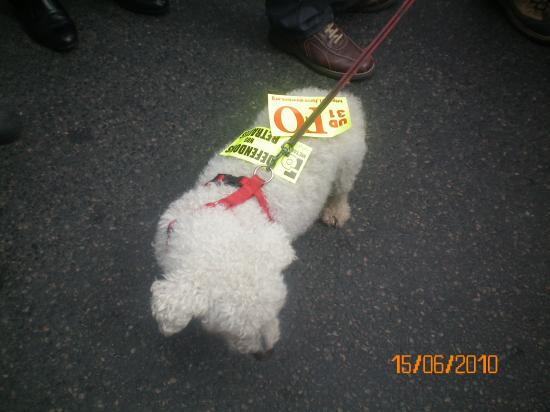 manif du 15/06/2010